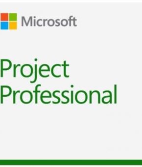 Microsoft project professional 2019 esd (descarga directa)